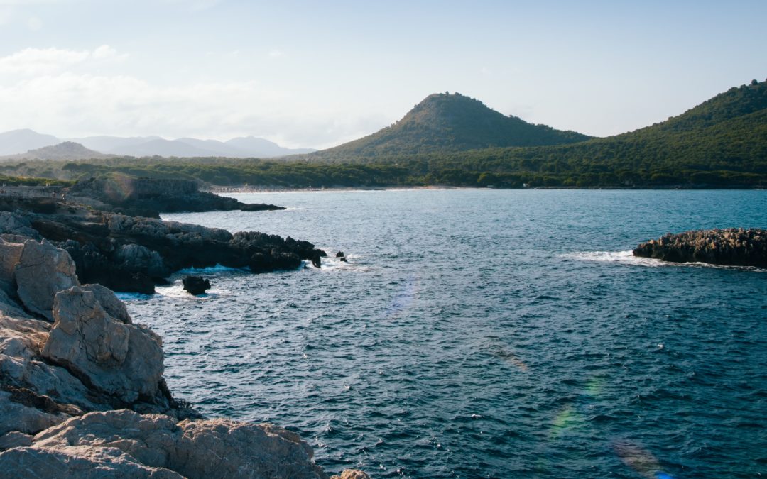 El turismo balear creó más de 1.350 nuevas empresas en la última década