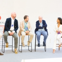 17. Mesa redonda DANA